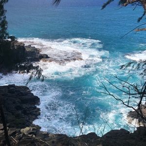 Meet your Posher, Steve